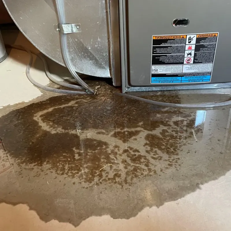 Pipe Burst and Leak Restoration in Greensburg, PA